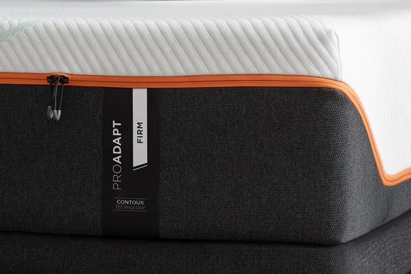 Queen Size Tempur Pedic Pro Adapt Firm And Tempur Pedic Smart Base