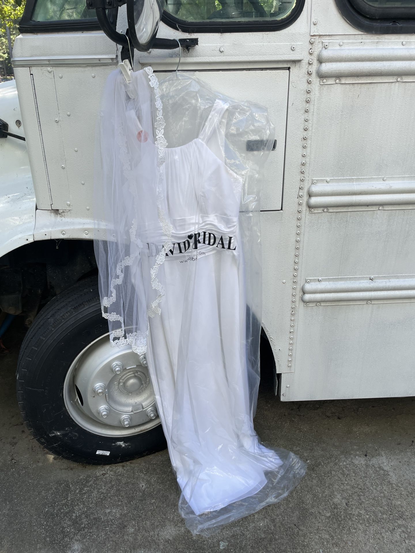 Wedding Dress & Veil