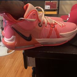 Nike LeBron Shoes 