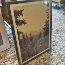 19” x 25” Framed Art Print From Urban Outfitters 