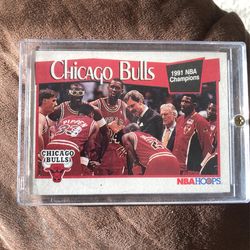 CHICAGO BULLS 1991 NBA CHAMPIONSHIP 