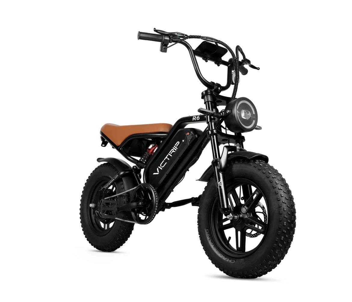 NEW in box VICTRIP R6 Off Road Electric Bike ebike BLACK
