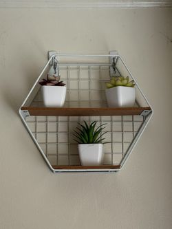 Wall Decor W/ Mini Succulent 