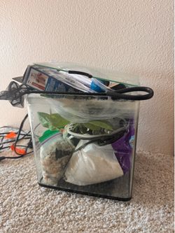 Fish Tank