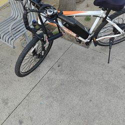 Electric bike