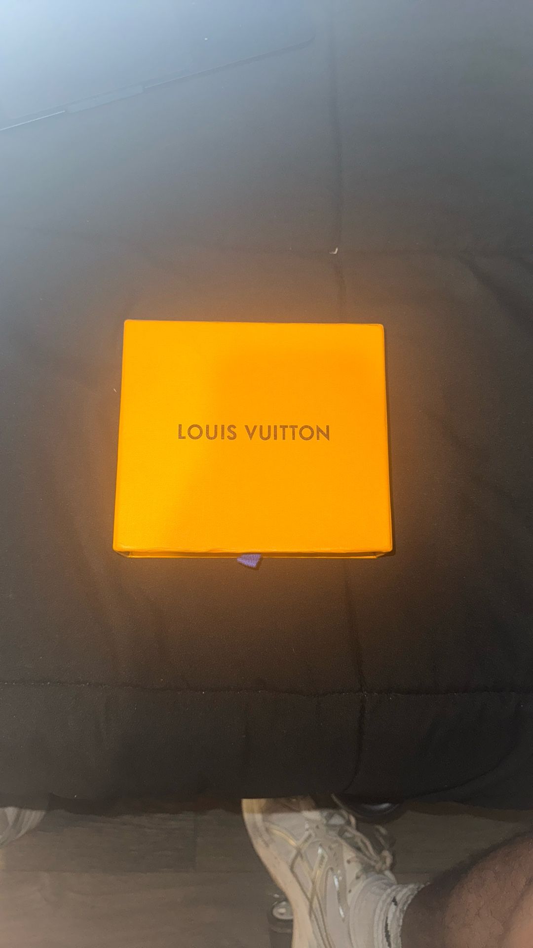 LOUIS V MULTIPLE WALLET