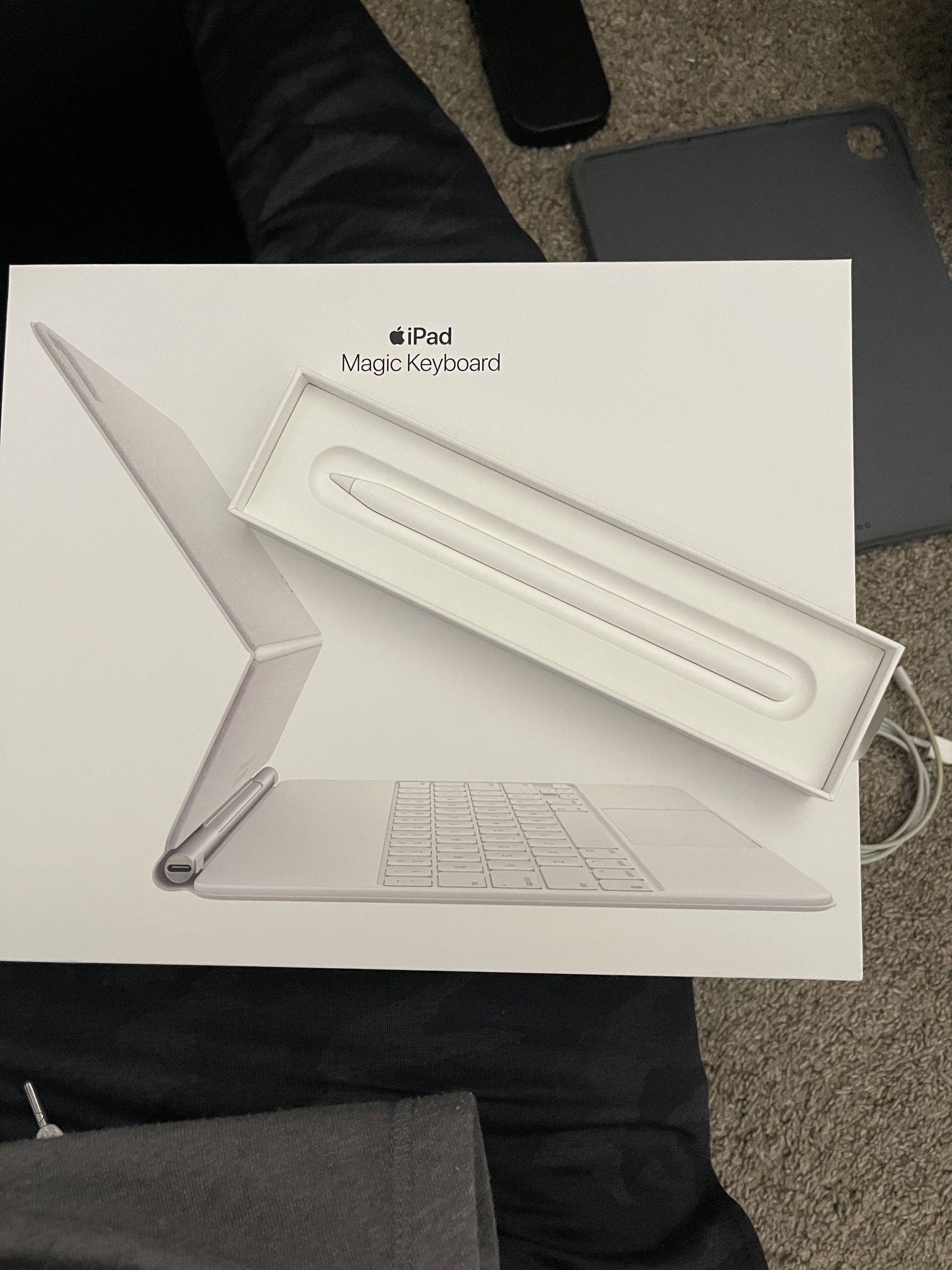 Apple Magic Keyboard and Apple Pencil 