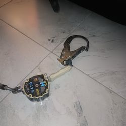 Harnessed Everything That Goes With It