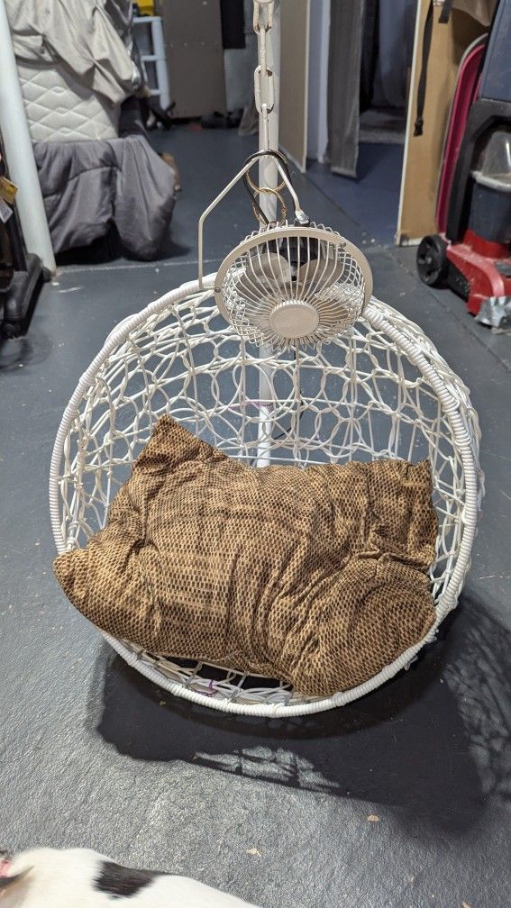 Bet Bed