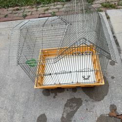 Birds Cage