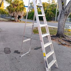 Louisville 10 Ft Aluminum Ladder