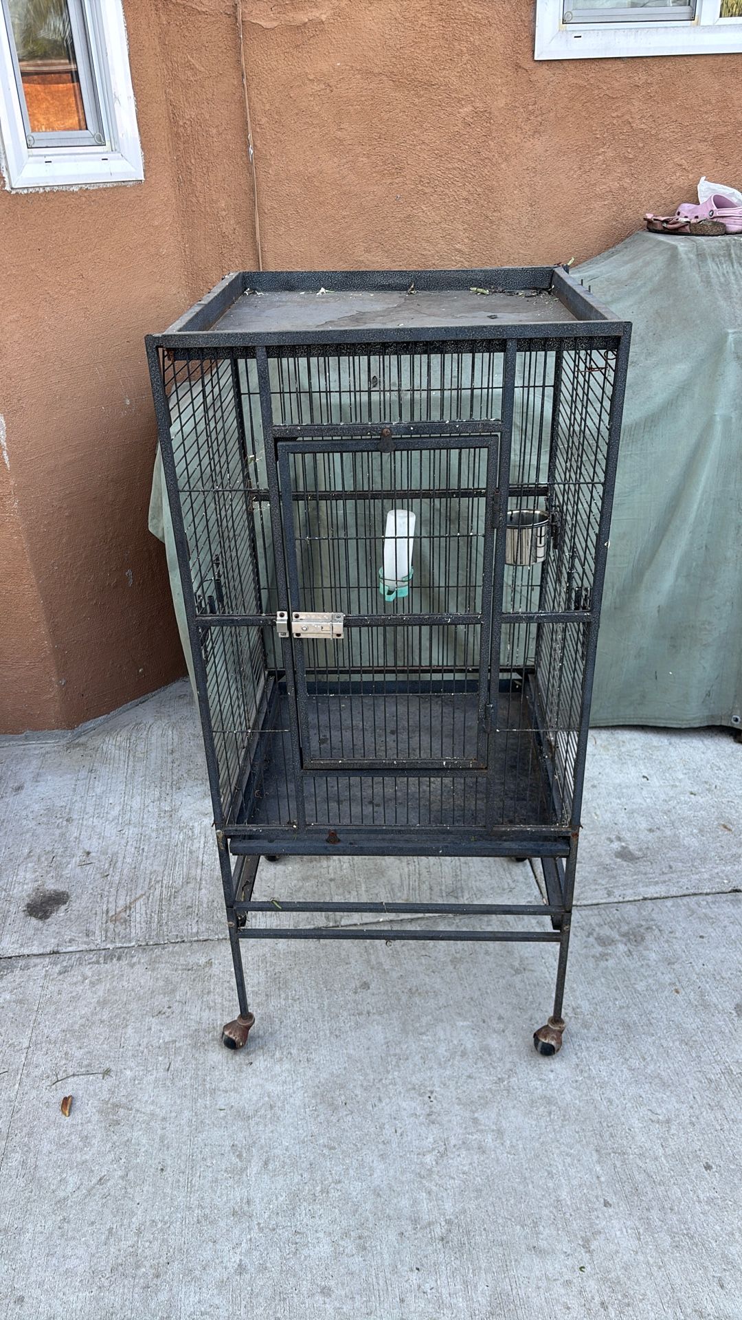 bird cage 