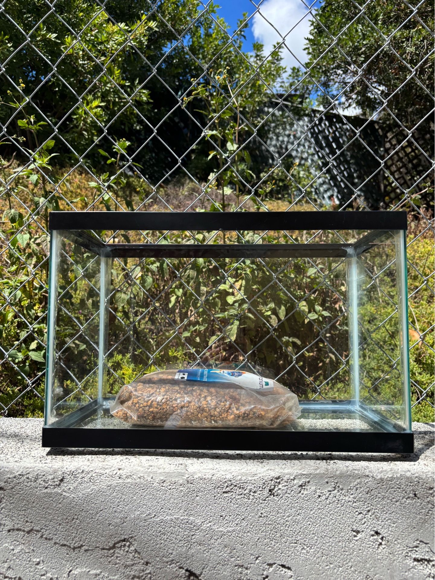 5.5 gallon tank with rocks