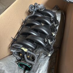 Mustang Intake