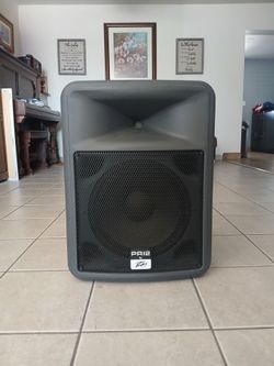 Peavy Pr12 Speaker