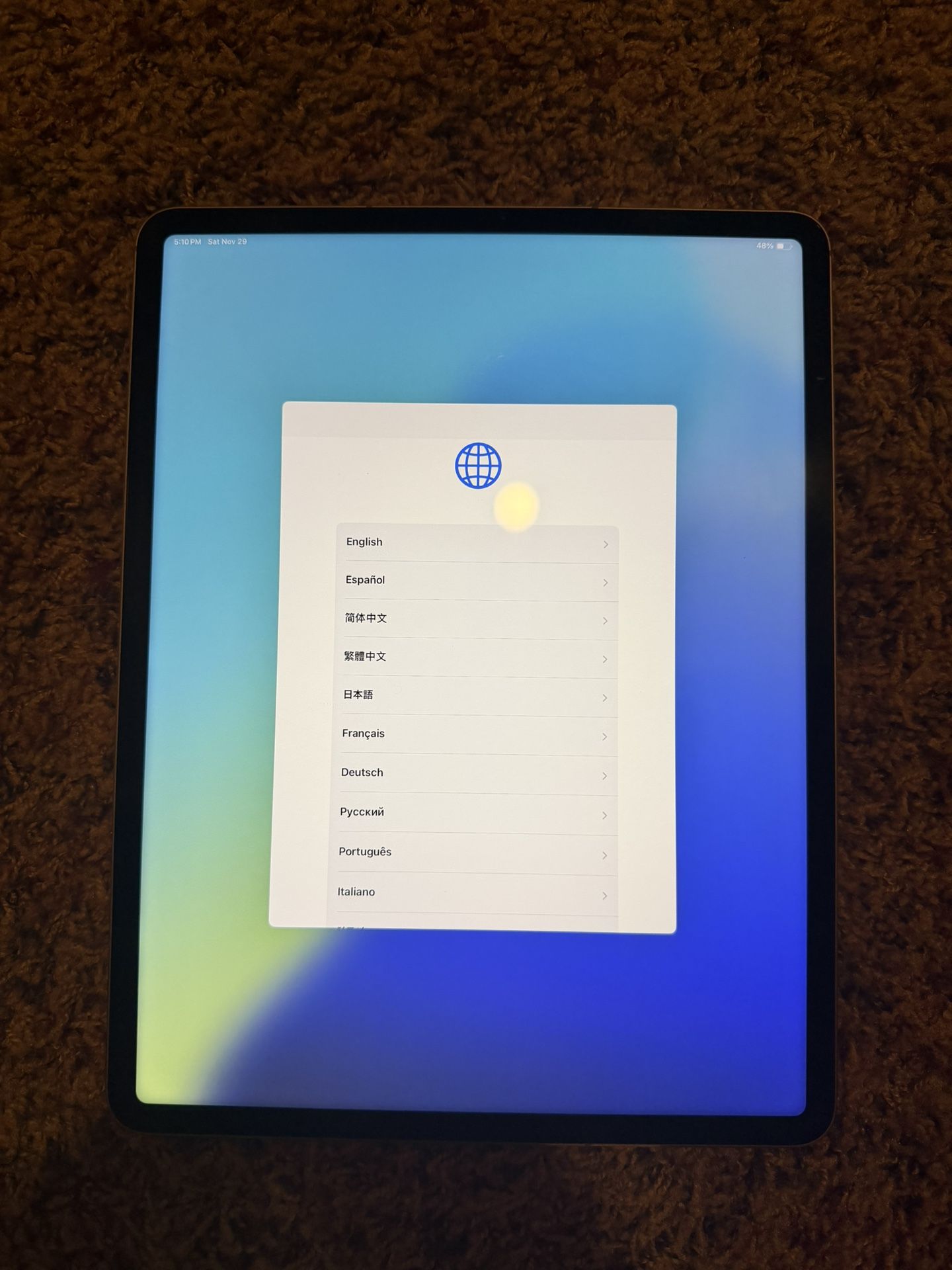 iPad Pro 12.9 Inch (6th Generation- 1 TB)