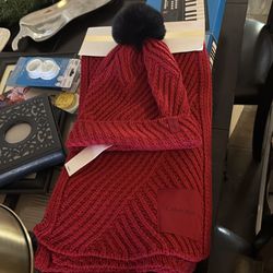 Hat and scarf set brand new never used