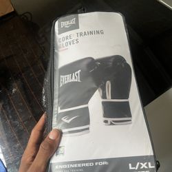 Professional Boxing Gloves 
