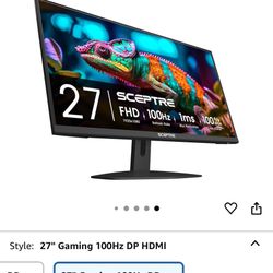 Computer Monitor
