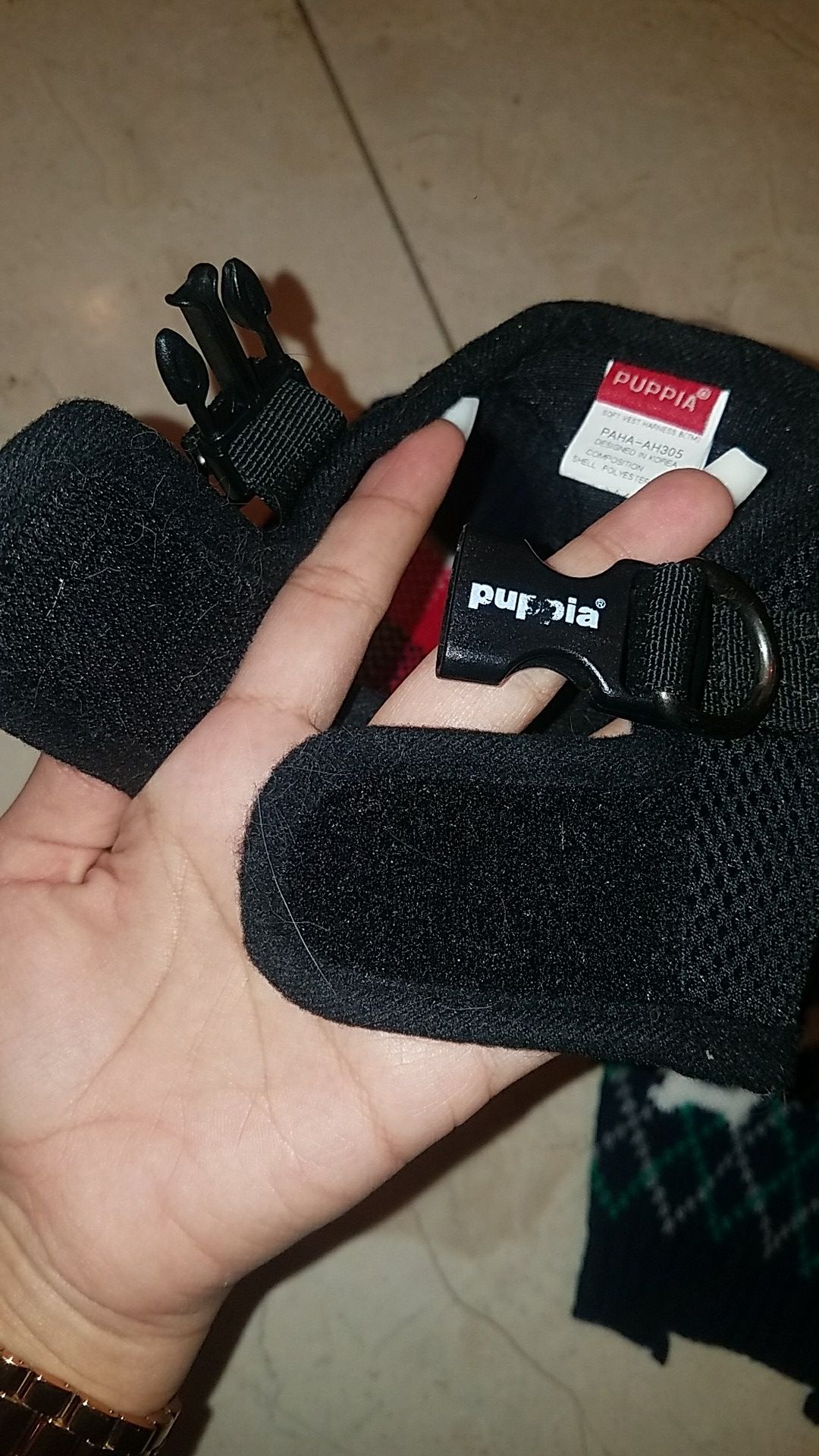 Xs dog sweaters and harness