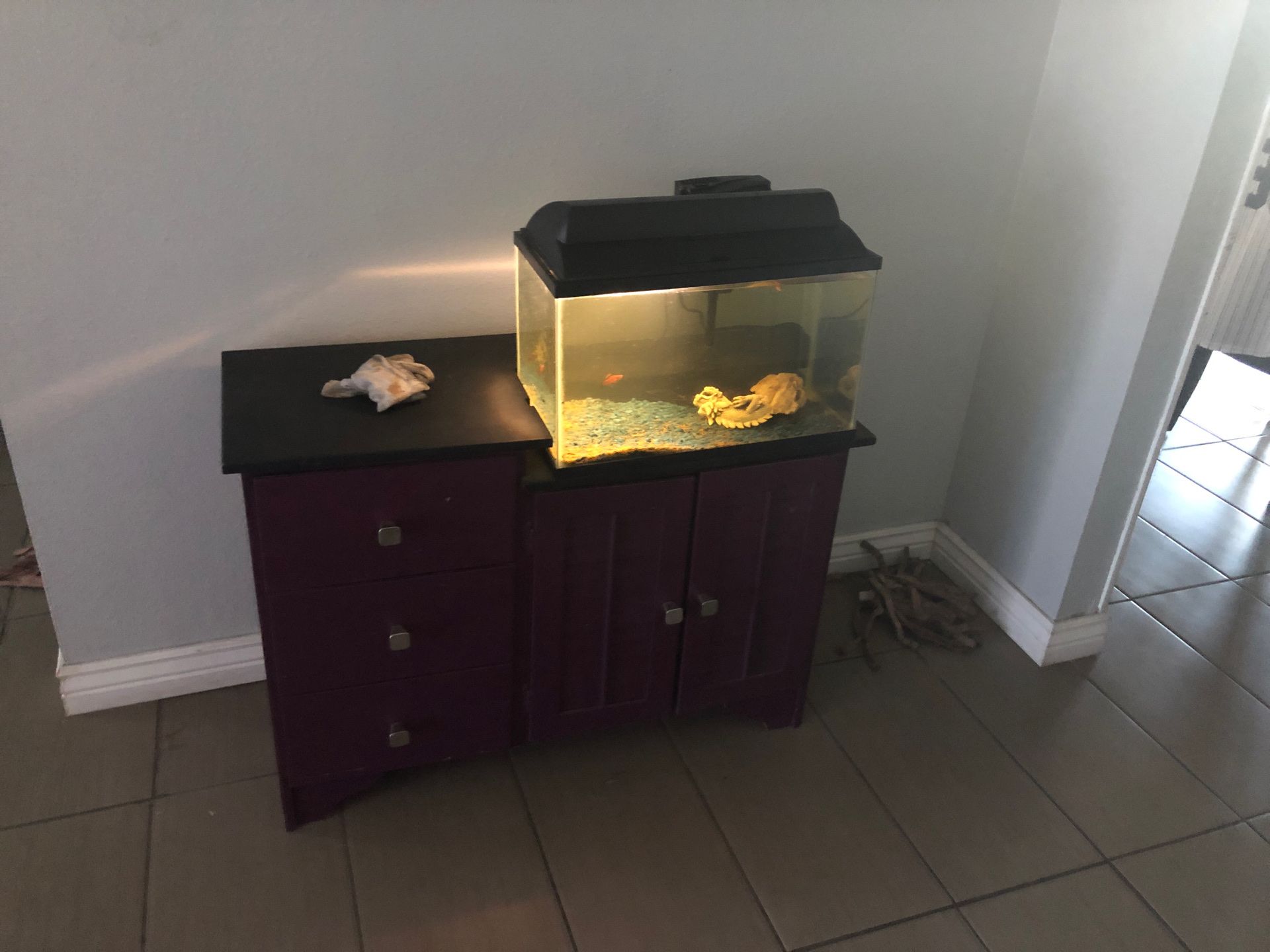 - Cabinet and tank with 3 fish and food