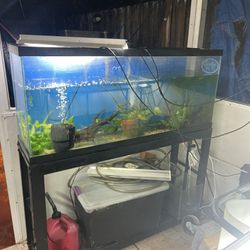 55 Gal Tank And Metal Stand 