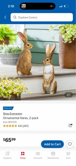 🐇 Evergreen Decorative Rabbit Statue Set 🐇