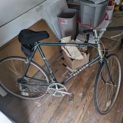 Raleigh Bike