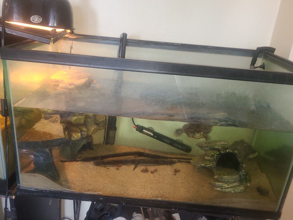 Fish Tank For Sale 55 Gallon Tall