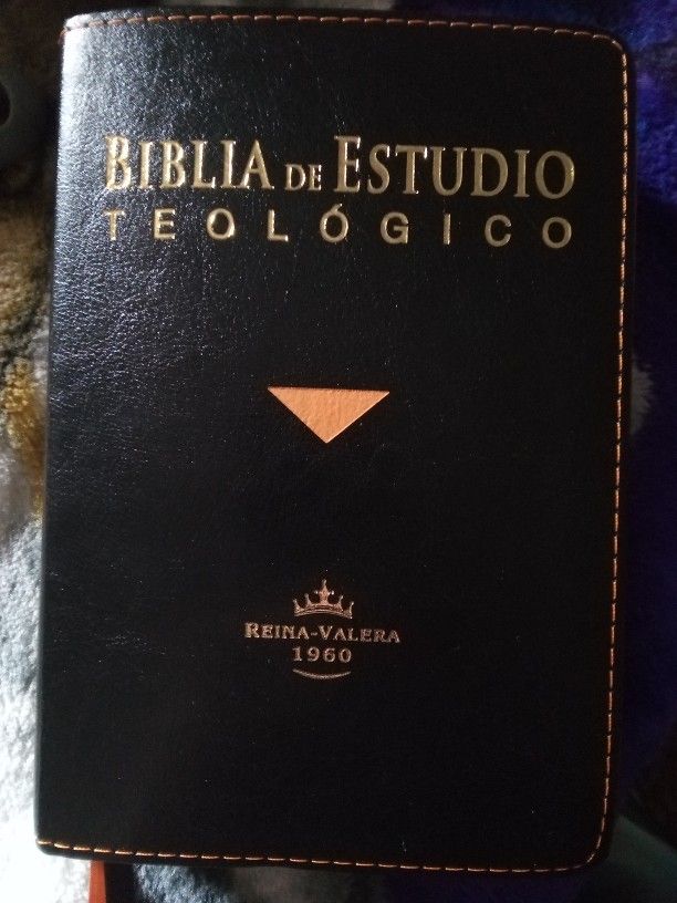 Biblia De eStudio Teologico