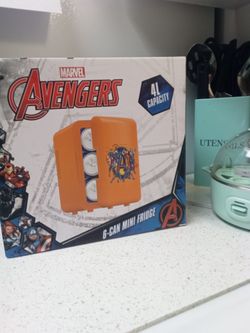 Mini Fridge