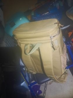 Insulated back pack