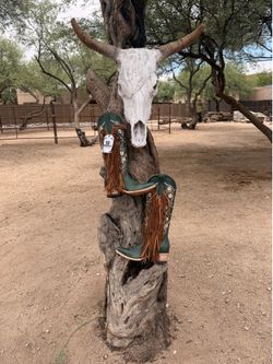 Women’s Western boots