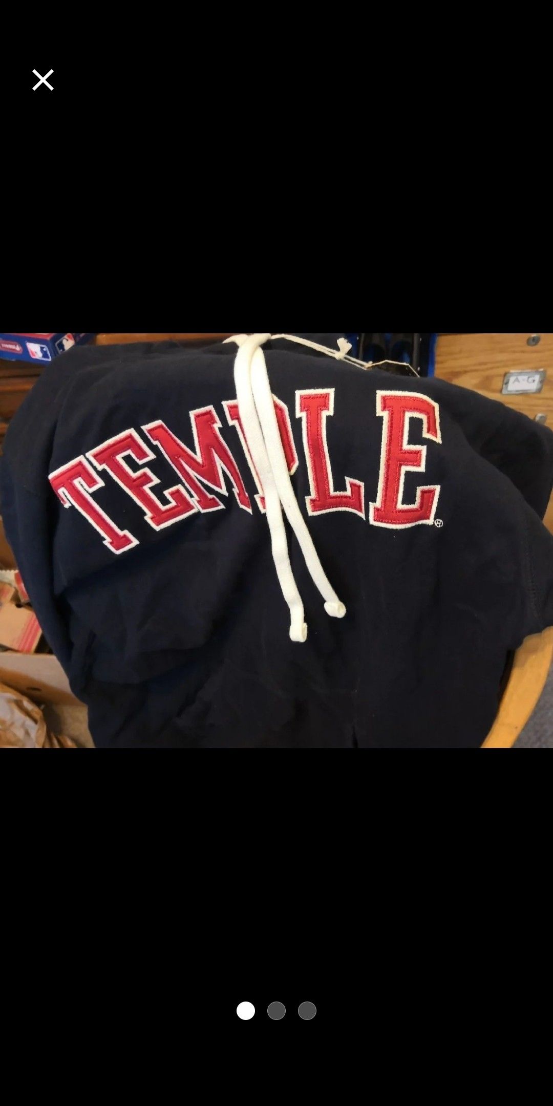 Brand-new temple hoodie