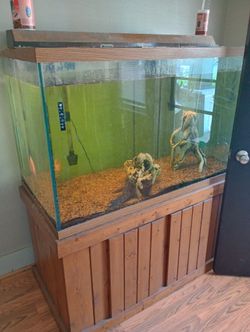 Large 150 Gallon Wide Fish Tank 