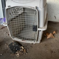 Large Animal Pet  Transport Crate 