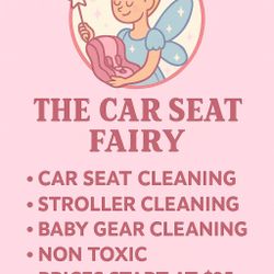 Car Seat Cleaning Fairy Swfl 