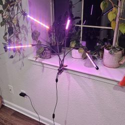 Grow Lamp For Plants