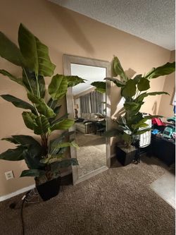 Artificial Plants. (6ft tall)