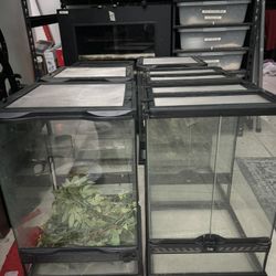 12x12x18 Lil Damage. Take Both For $60