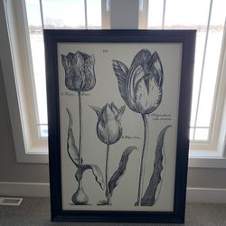 Black White Pictures Ballard Designs