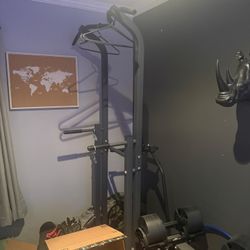 Pull Up/Dip Station