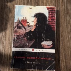 A Little Princess By France’s Book