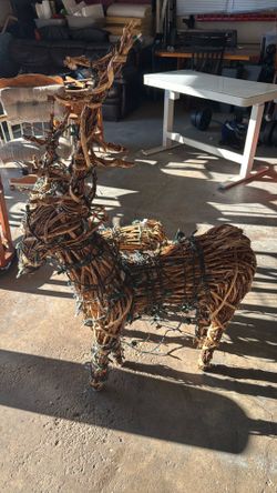 Christmas reindeer
