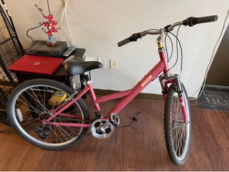 Nishiki Hybrid Bike