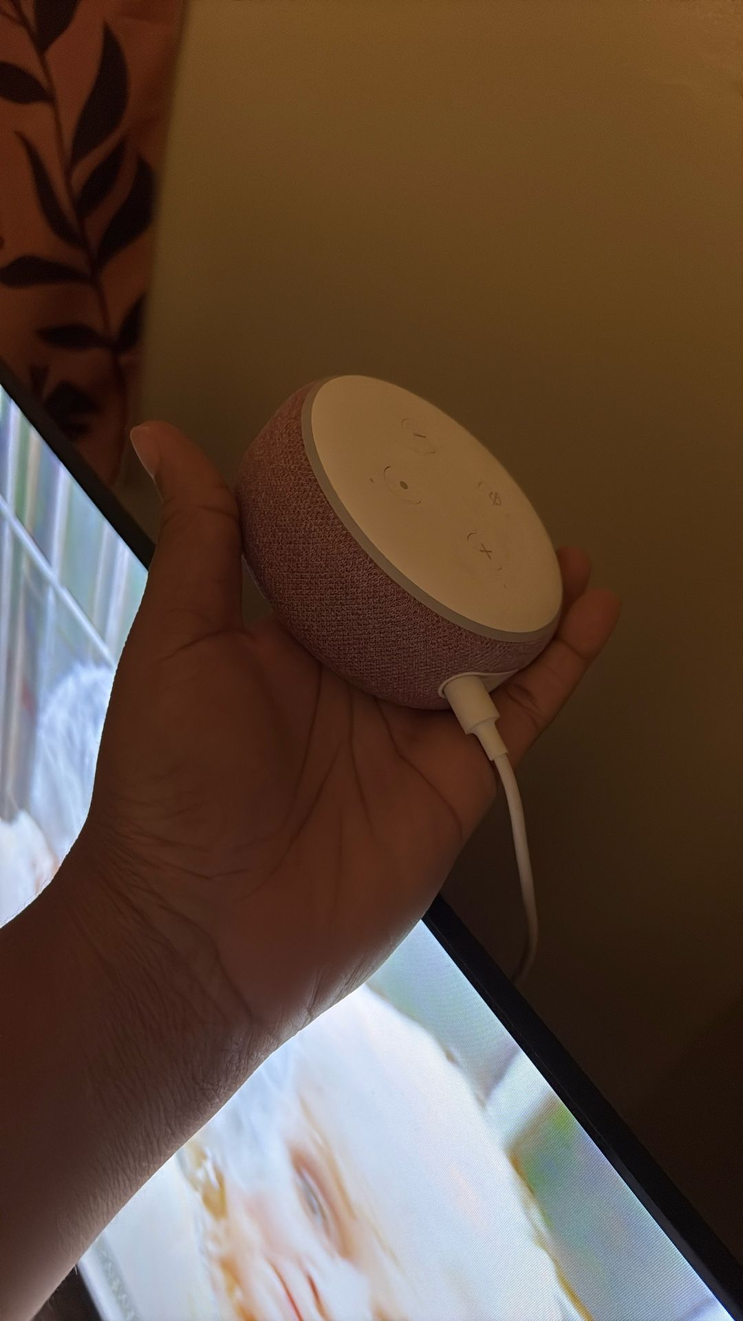 Echo dots