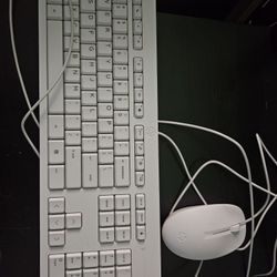 Hp Mouse And Keyboard