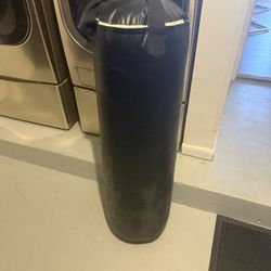 Punching Bag (only The Bag)
