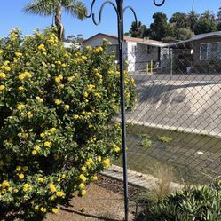 Hanging Plant Stand 84 