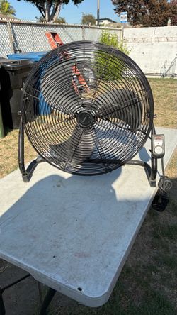 fan